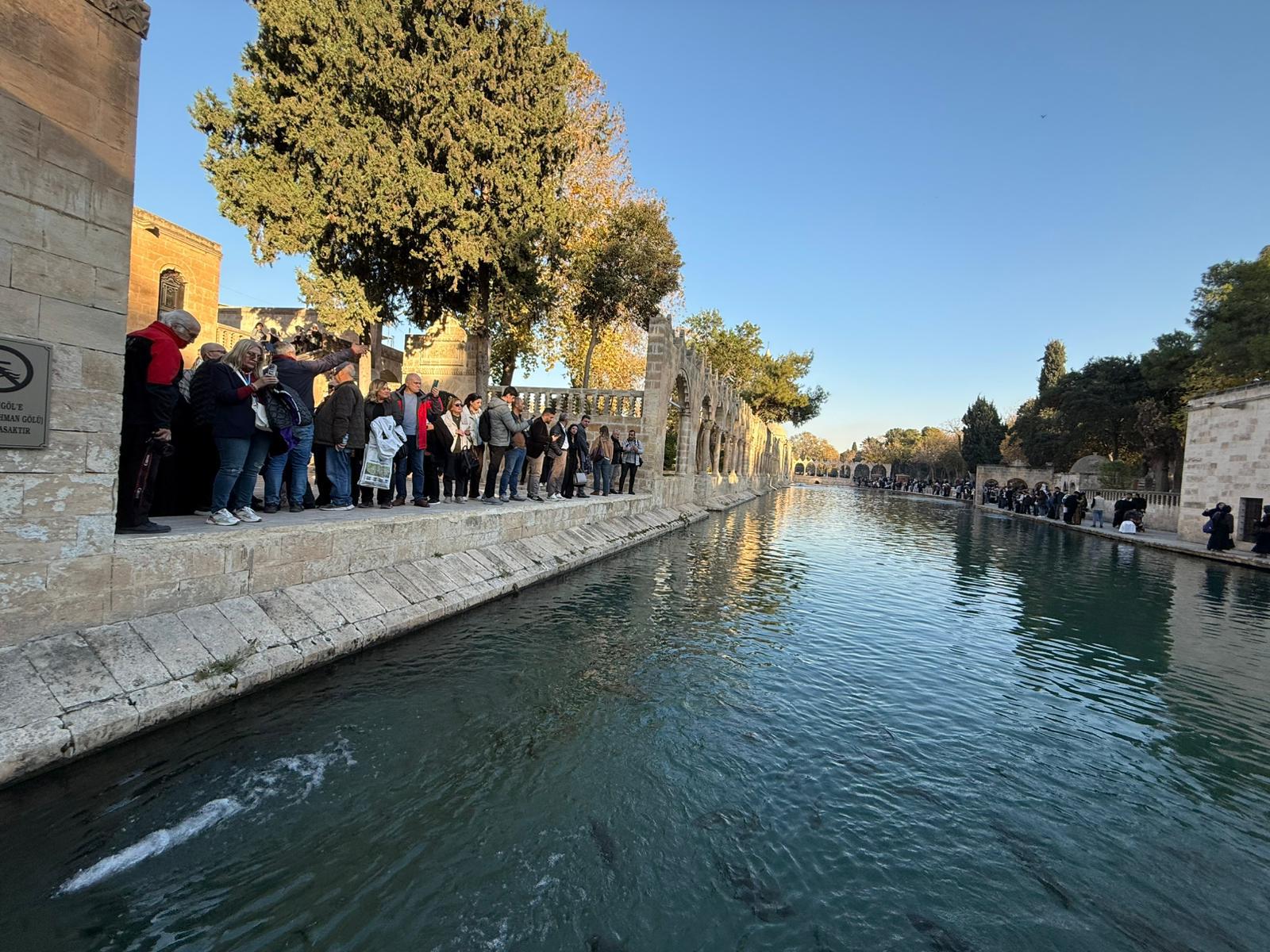 6A9A0D88 Ce1A 465B 8C8D C134Fc872317